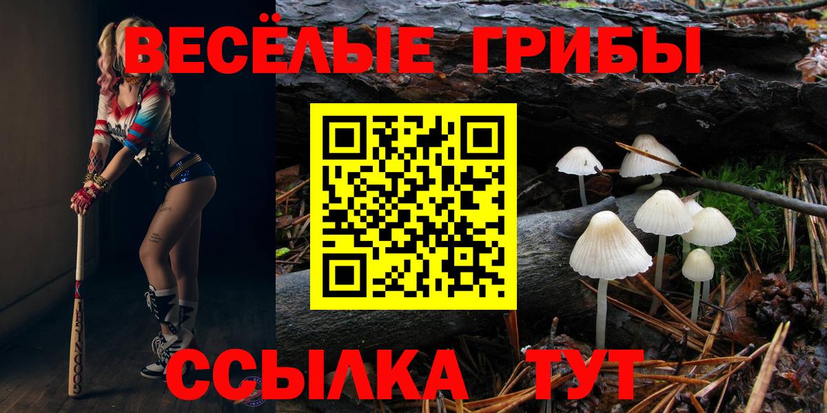 Галлюциногенные грибы MAGIC MUSHROOMS  Вход с VPN  Алатырь 