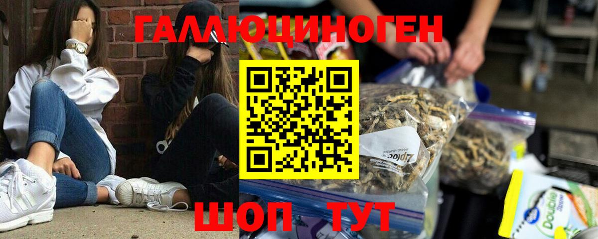 Псилоцибиновые грибы Magic Shrooms Алатырь